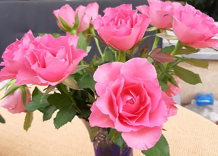 Tiny House Paradies Feriehus Wustermark