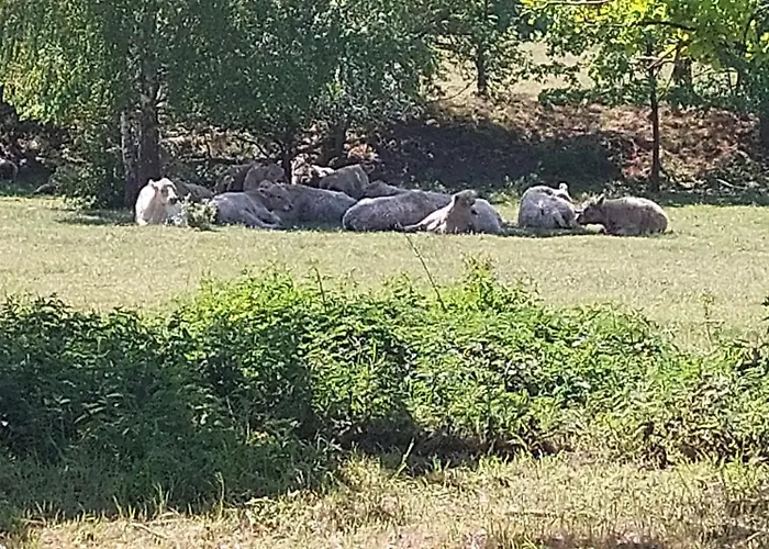 Tiny House Paradies * Wustermark