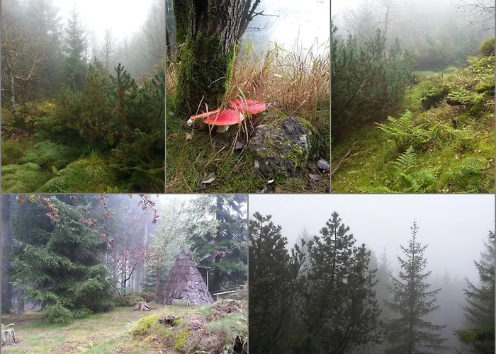 Tiny House Paradies Feriehus