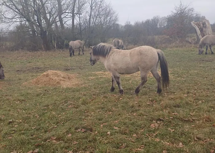 Tiny House Paradies *